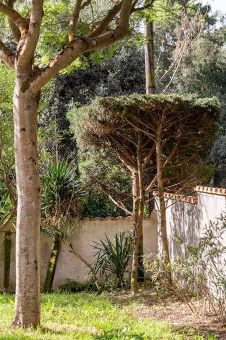 La Maison Des Epinouses, 4 Chambres A 450M De La Plage De Chaucre Saint-Georges-d'Oleron Extérieur photo